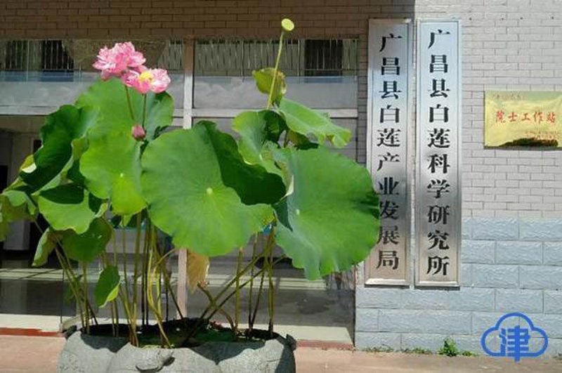 冷光源的价格是多少？这不仅仅是一个简单的问题，更涉及到不同应用领域、品牌和功能的多样性。